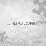 専用ページ