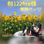 081224te様専用ページ