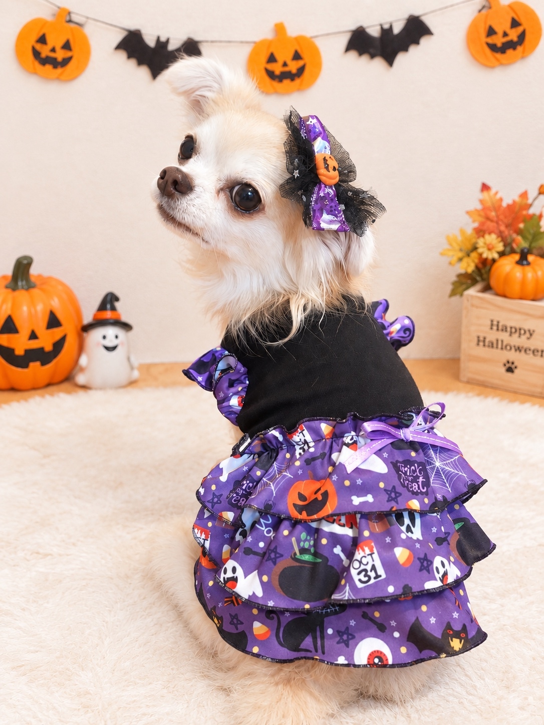 完成品‼️犬服 🐶🐾 SSサイズ ハロウィン ワンピース🎃 - FAIRY-HIRO'S