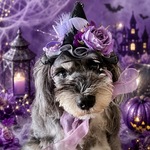 再販　Halloween魔女のお帽子　パープル