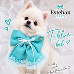 ⭐️T blue bib   
