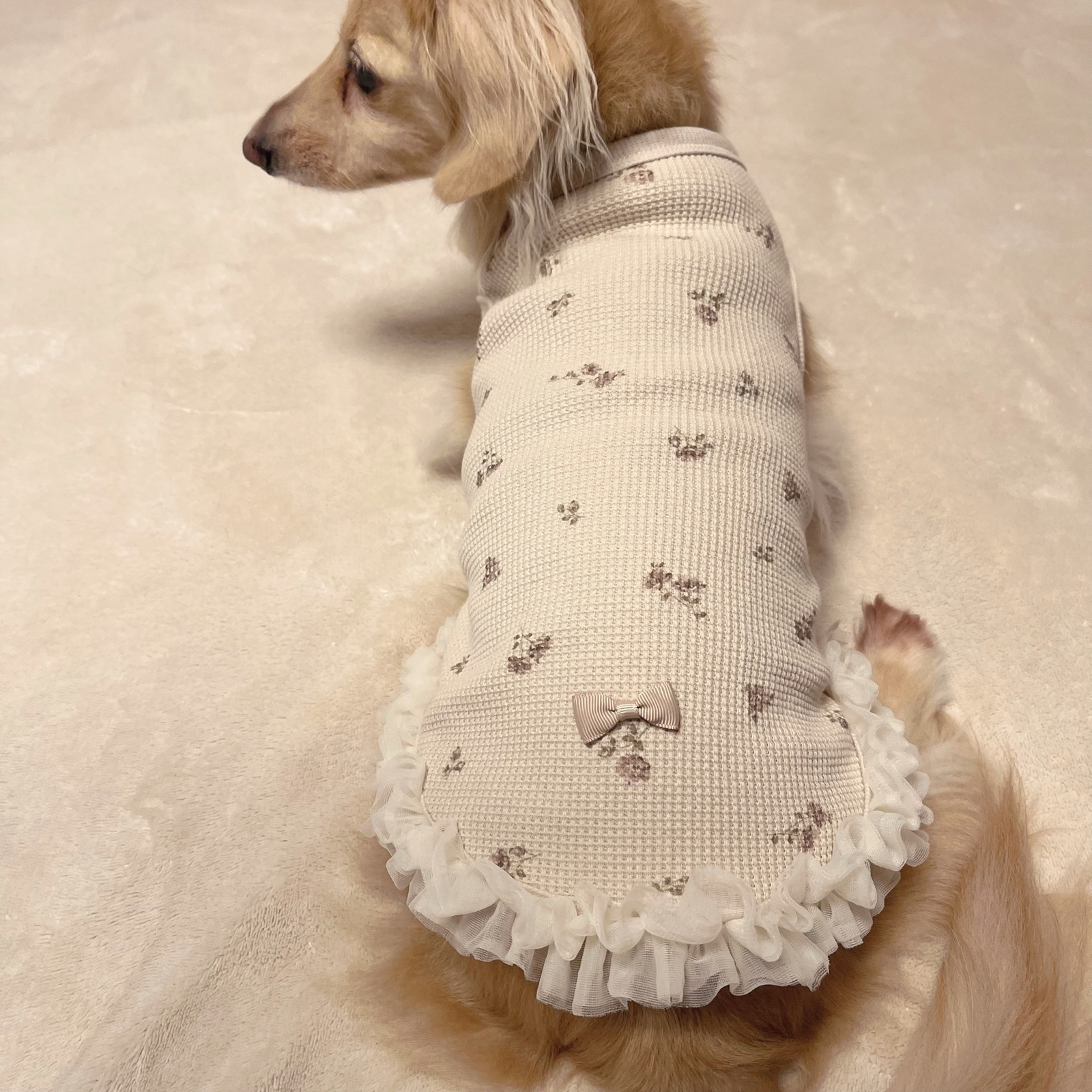 犬服☆ ハート柄 スモック ワンピ ジャガード フリル リボン ダックス