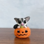 ハロウィンカボチャに潜り込んだフクロモモンガちゃん　【一点もの販売】