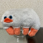 ムカデの赤ちゃんのミル