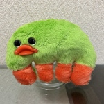 ムカデの赤ちゃんのパット