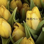 専用ページ
