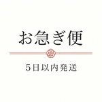お急ぎ便(5営業日以内の優先発送)