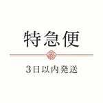 特急便(3営業日以内の最短発送)