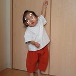 COTTON シャツ *ホワイト*　size 80