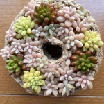 【受注販売】麻紐リース　♡多肉植物のちまちま寄せに♡