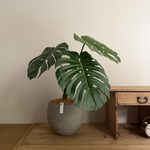 6月入荷予定【モンステラ】64cm 造花  フェイクグリーン