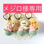 メジロ様専用