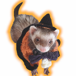 ハロウィンセット🎃帽子と首飾りのセット🎃