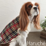 犬服 セミオーダー｜❁カラフルチェック×ワッフルニット＊秋冬ドッグウェア❁