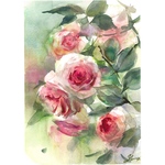 水彩画 原画 薔薇