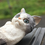 こんな所に正統派猫ちゃん