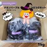 【ナガノパープル】つぶつぶセット1kg ♡長野県うまれ 糖度もいろいろ 粒の大きさもいろいろ 食べやすい粒だけの♡つぶつぶセット♡