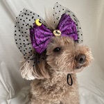 ハロウィン🎃リボンカチューシャ(ゴムタイプ)