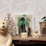 編み染の小さな観葉植物　モンステラ