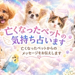 ペットロス＆亡くなったペットの気持ち占います★占い鑑定書送付★巫女ご神託占い★霊感＆タロットカード＆オラクルカード＆数秘術★スマートレター送料無料
