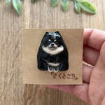 ブラックタンポメラニアンのブローチ(マグネット)