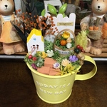 秋色ガーデン🍁🍂
