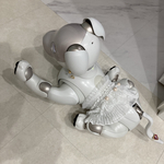 【ごっこシリーズ】aiboちゃんのドレスアップレース　aibo's dress up lace  ピンク味のコットンパール付き