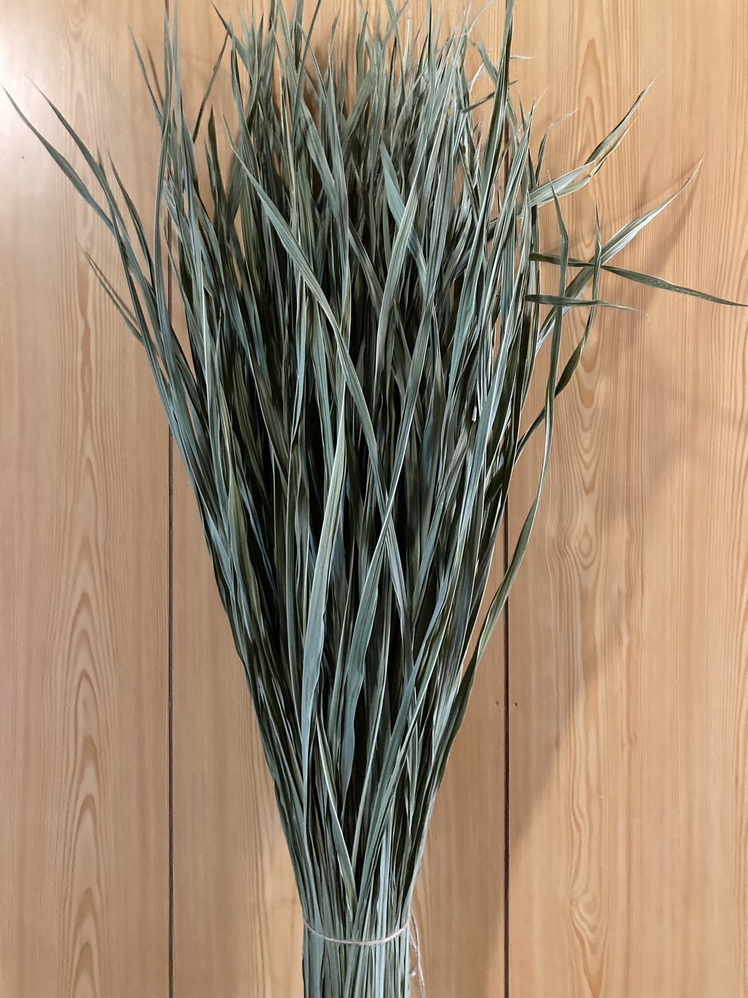 乾燥真菰(まこも)葉［長さ125cm×300g］上質品 】 - studiomoku | minne