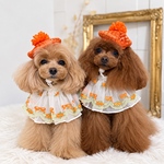 🍊オレンジフラワーのベレー帽＆刺繍レースケープセット｜犬用・猫用｜誕生日・記念日フォト