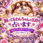 飼ってるわんちゃん(犬)の気持ち占います★占い鑑定書送付★あなたの守護神さまとご神託も占います☆元巫女ご神託占い★タロットカード＆オラクルカード★スマートレター送料無料