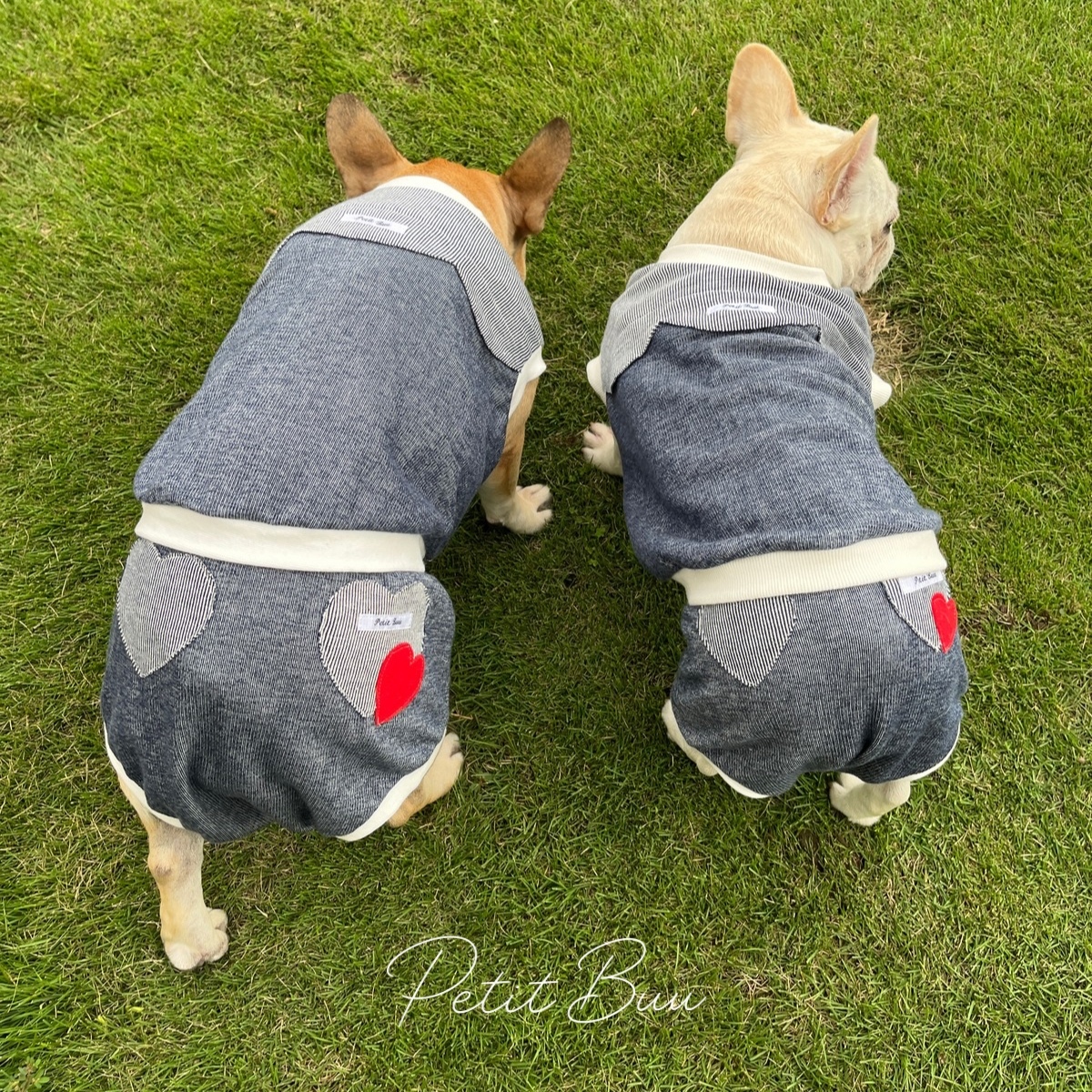 犬服・バックフリルパーカー_スモークベージュ - ハンドメイドのわんこ