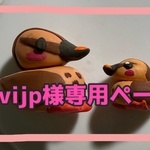 kivijp様専用ページ