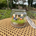 苔テラリウム【癒し・お昼・おにぎり】