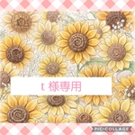 🐶🐾 ｔ様専用 🐶🐾 オーダー 羊毛フェルト 癒しマスコット 犬 ぬいぐるみ プレゼント ギフト 