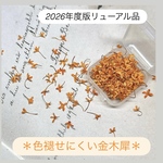 🌼 色褪せにくい金木犀＊特殊加工ドライフラワー