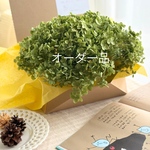 （送料込み）片品村　アナベル　ドライフラワー　花材