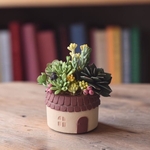 ◆小さなお家の多肉植物｜クレイフラワー｜粘土で作ったミニチュアガーデン｜一点物　T1555