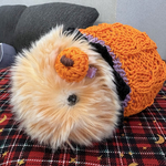 モフリンの ハロウィン🎃コットンニット《かぼちゃクリップつき》