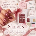 はじめての、ネイルチップ🎀🩵ネイルチップスターターキット🪞✨˗ˏˋ即納対応ˎˊ˗ ハナネイル