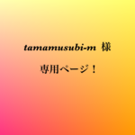 『tamamusubi-m 』様 専用ページ❗️ネックレス②点セット