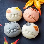 猫の練り切り4匹入 送料無料 誕生日 プレゼント 上生菓子 和菓子 ギフト かわいい 贈り物 手土産 本格 バレンタイン ホワイトデー 母の日 父の日 敬老の日 猫の日