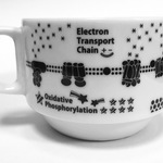 電子伝達系 スタッキングマグ