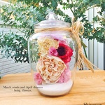 Candy Bottle 【L size】03❀仕入れ先によりお値段変更致しました❀