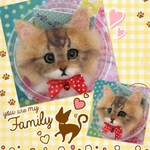 あすみん様専用 猫にゃんこ羊毛フェルトストラップ