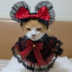 レディヴァンパイア