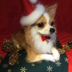羊毛フェルト チワワ 🎄クリスマスギフト🎄