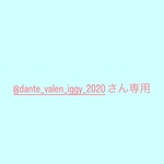 @dante_valen_iggy_2020さん専用