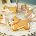 11月限定★コーギーのクッキー