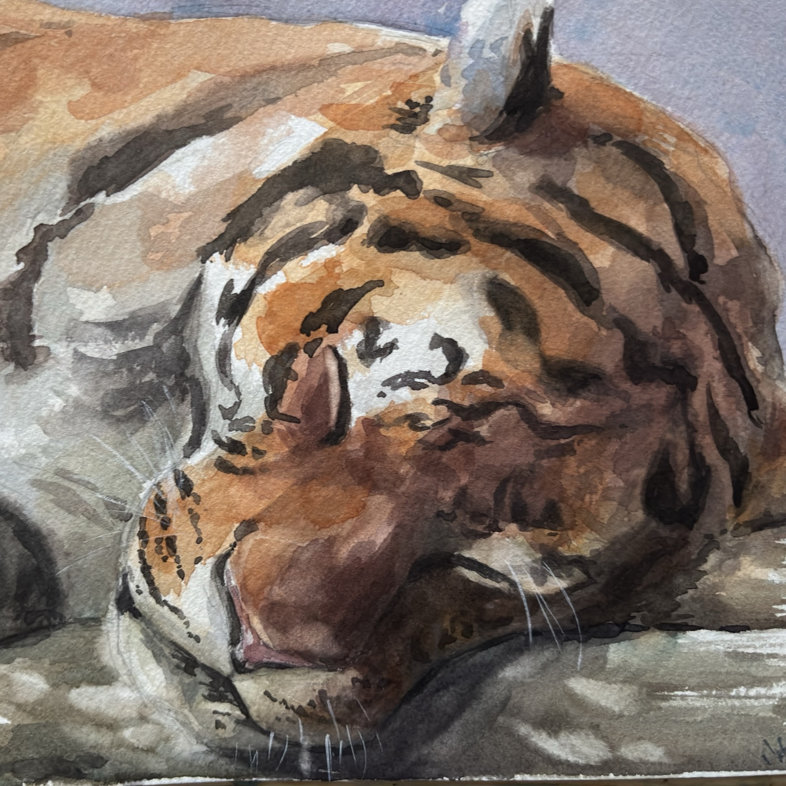 こぬきた動物絵 #12 リス 透明水彩原画 - konukita | minne byGMO