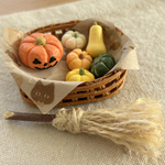 【ミニチュア かぼちゃの詰め合わせ🎃 ハロウィンにぴったりな秋色パンプキンバスケット】